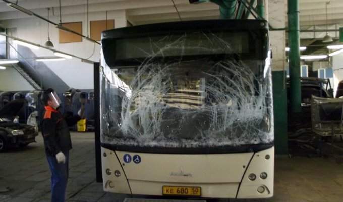 Замена лобового стекла на городском автобусе МАЗ-206 (27 фото)