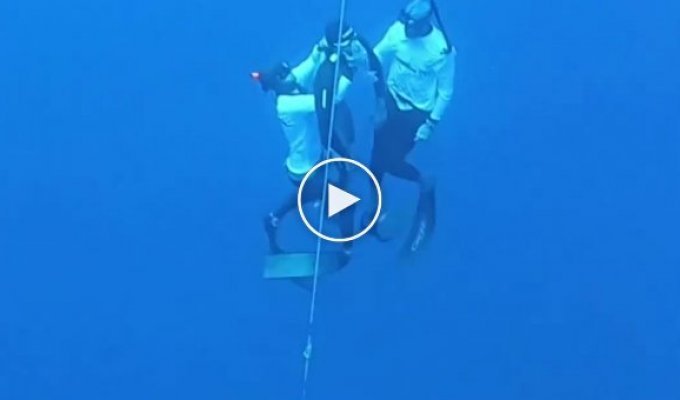 Record-breaking freediver Miguel Lozano collapses at 125 meters