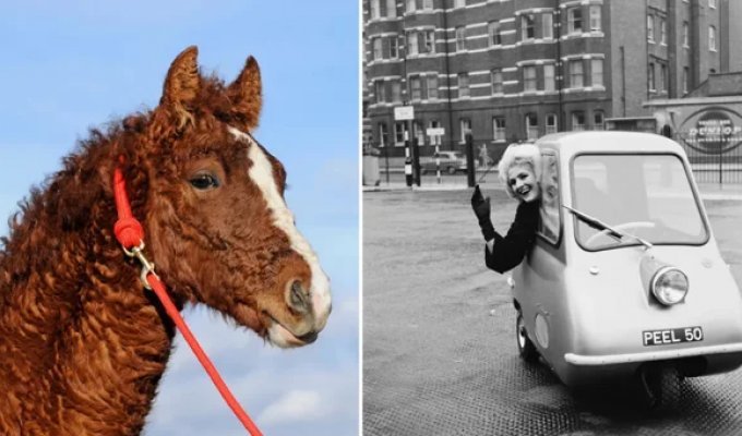 You Don't See This Every Day: 25 Incredible Photos From Around the World (26 photos)