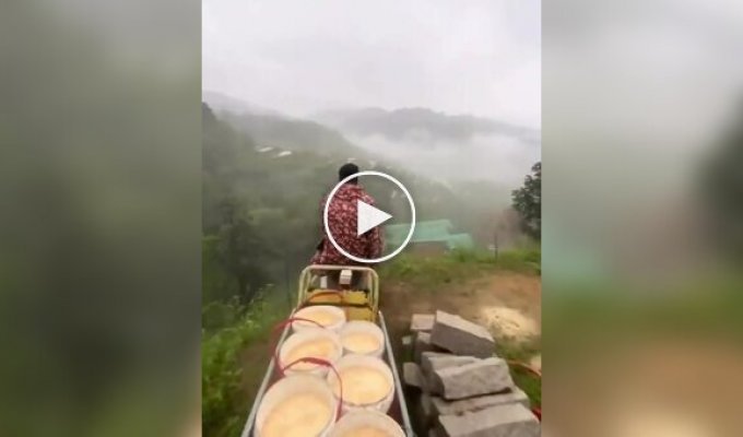 A man quit his job at the bank and went to the village to raise chickens