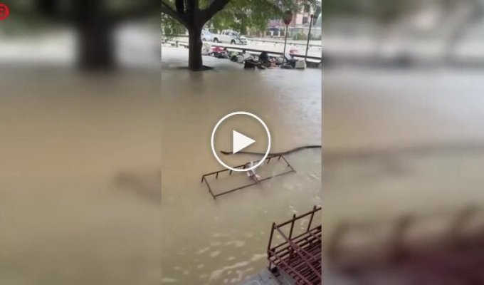 Гигантский питон скользит по затопленным улицам Таиланда