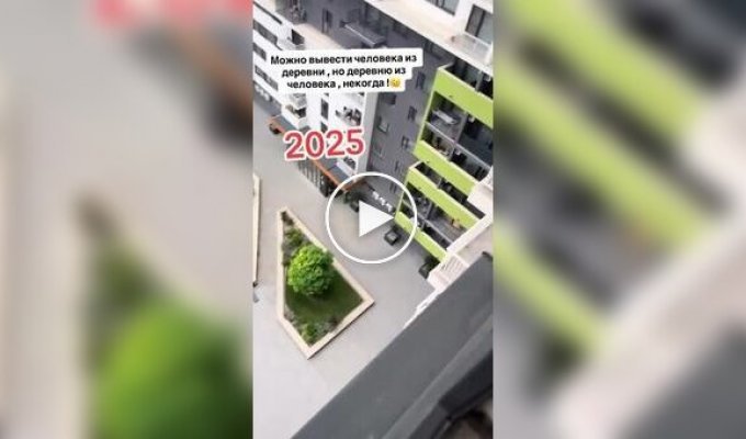 В одном из ЖК девушка завела курятник прямо у себя на балконе