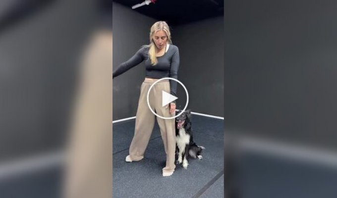 A Dog Perfectly Joins Its Owner's Dance