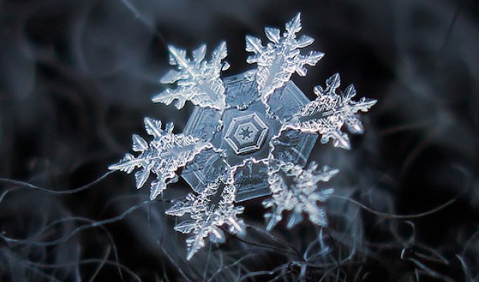 Снежинки - совершенное творение природы. Интересные факты из жизни снежинок (25 фото)
