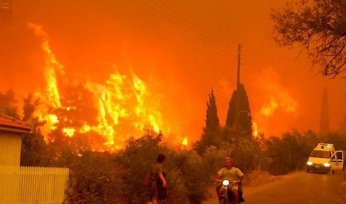 Пожары в Греции (12 фото)