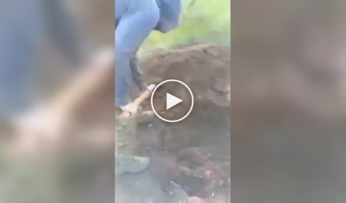 Российского военного соратники закопали по шею в землю за невыполнение приказа