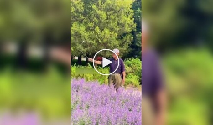 Повелитель бабочек
