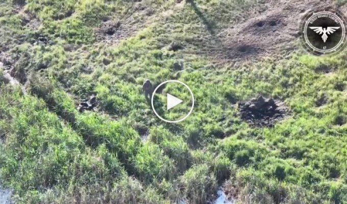 A kamikaze drone operator destroys an occupier with a direct hit