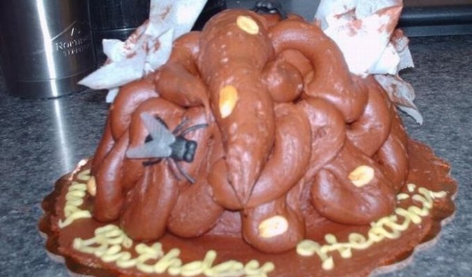 Cakes that look like poop (40 photos)