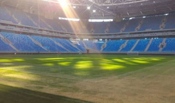 На Зенит-Арене меняют газон за девять миллионов рублей (2 фото)