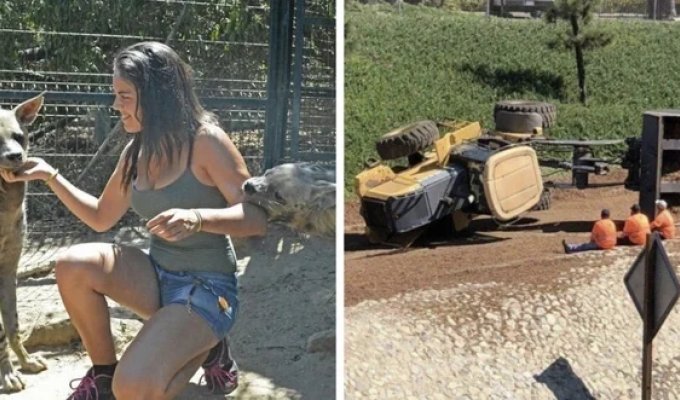 Люди с такой выдержкой, о которой говорят: не увидишь — не поверишь (17 фото)