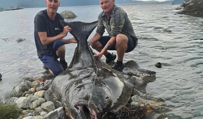 Чоловік на шляху до Полярного кола впіймав підводного "монстра" завдовжки 2 метри (3 фото)