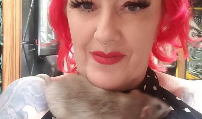 Happy together: a woman from California lives with fifty rats (2 photos + video)