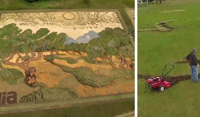 Художник воссоздал картину Ван Гога на поле площадью 5000 квадратных метров (8 фото + 1 видео + 1 гиф)