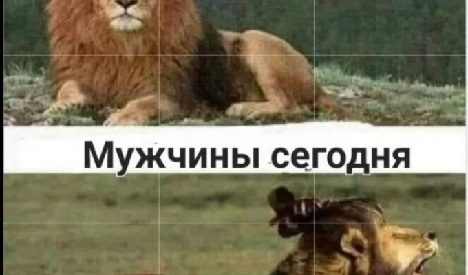 Лучшие шутки и мемы из Сети. Выпуск 725 (159 картинок)