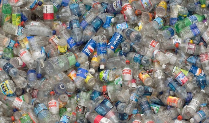 20 фактов о пластике (8 фото)