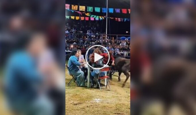 Женщины сыграли в «Бычий покер»