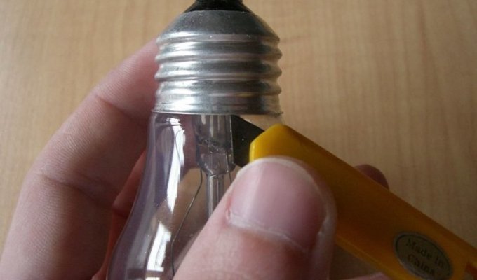 Various ways to use non-working light bulbs that are a pity to throw away (28 photos)
