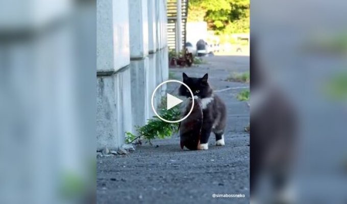 Когда добыча большая, а доверия к окружающим нет