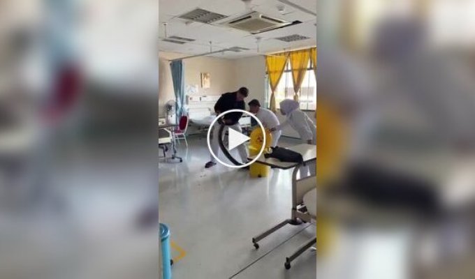 A large snake got into a hospital in Malaysia