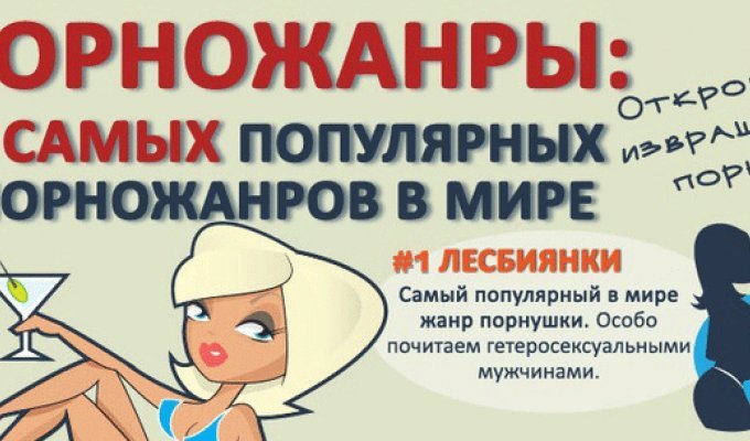 Интересные факты о фильмах для взрослых (7 фото)