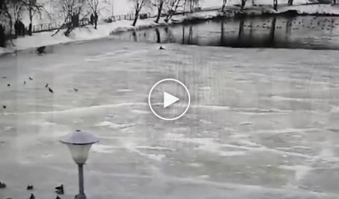 Полицейский спас очередного любителя прогулки по тонкому льду