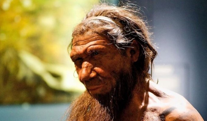 В останках неандертальцев найдены древнейшие человеческие вирусы (3 фото)