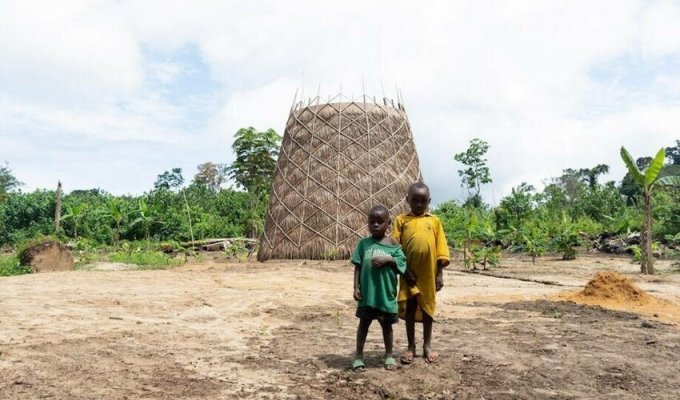 How bamboo vase-like towers produce water in Africa (3 photos + 1 video)