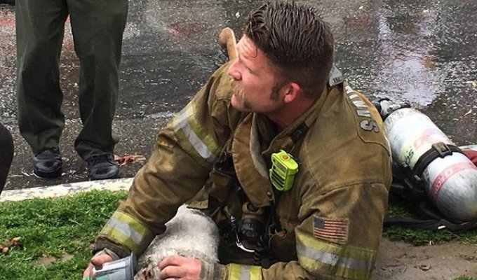 Пожарный из Калифорнии спас собаку