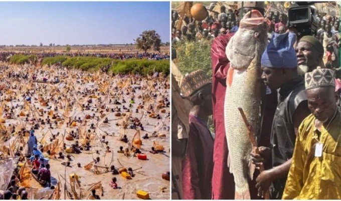 Фестиваль рыбалки в Нигерии (3 фото + 1 видео)