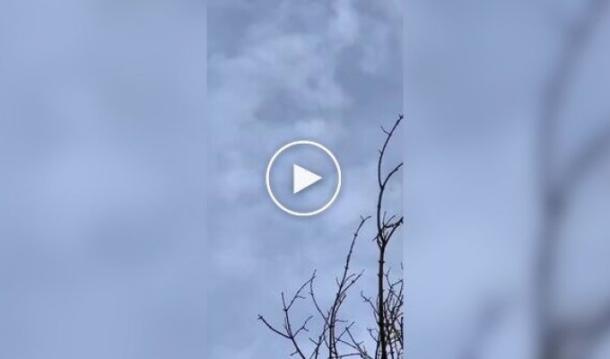 Бойцы с земли снимают атаку зенитного дрона на российский БПЛА Гербера