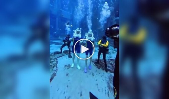 Необычный аттракцион в Дубае