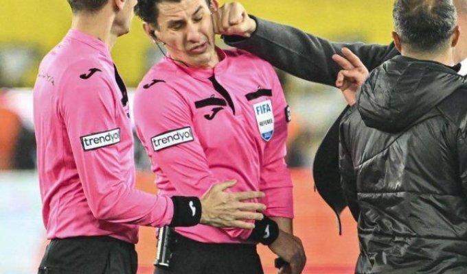 The president of the Turkish football club beat the referee during the match (2 photos + 2 videos)