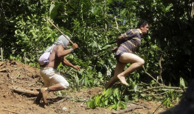Как жители Амазонки защищают собственные леса (18 фото)