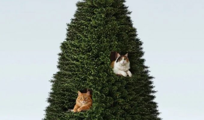 История вечного конфликта закончена: в продажу поступили новогодние елки для котов (2 фото + 2 видео)