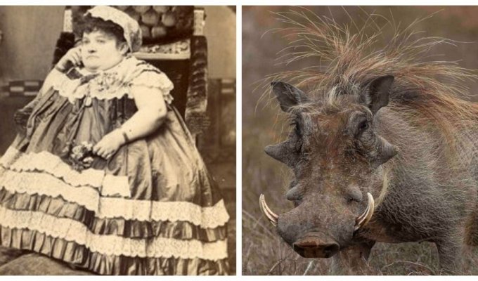 Lady Warthog Carrie Akers (5 photos)