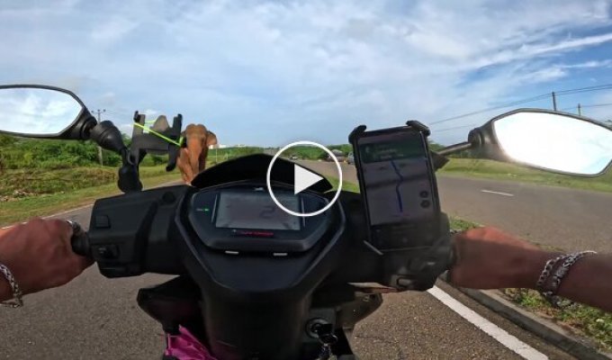 Лучшие кадры, снятые на GoPro в 2025 году