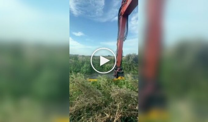 Cleaning a pond