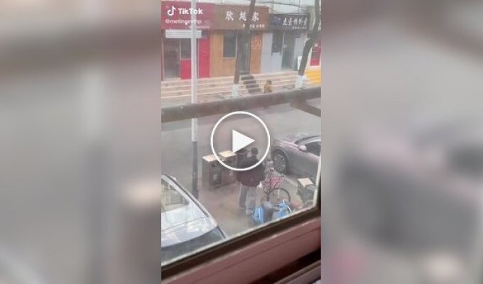 Когда выбросить мусор превращается в стратегическую операцию