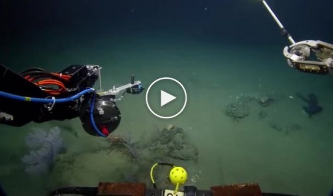 Изучая морские глубины при помощи специального батискафа