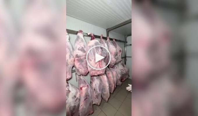 Заготівля м'яса для турецького кебабу