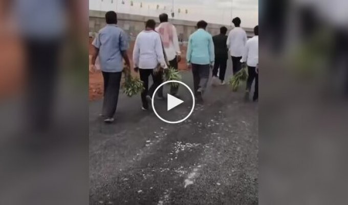They stole everything that was growing: the opening of an elite Indian airport ended in mayhem