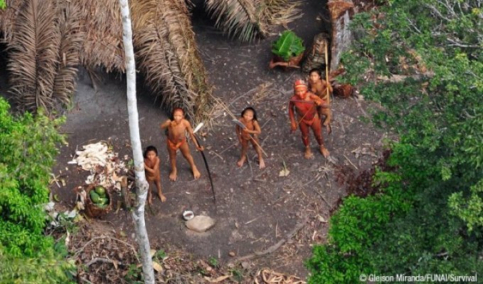 Последнее в мире племя индейцев, живущее в полной изоляции (3 фото)