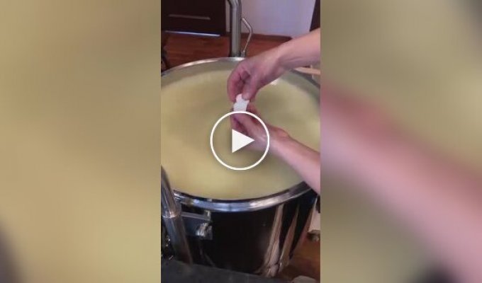 Cheese making