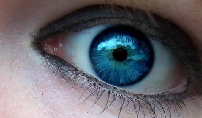 Почему наши глаза имеют разные цвета? (10 фото)