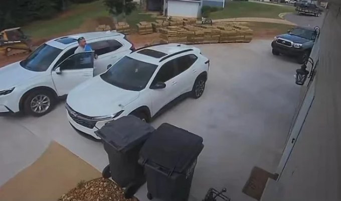 How do they do it? (3 photos + 1 video)