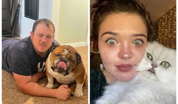 Pet Doppelgängers: 50 Owners and Animals Who Look Strikingly Alike (51 Photos)