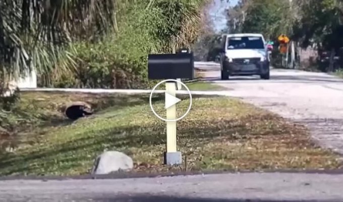 Парни подшутили над почтальоном