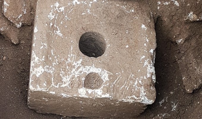 У єрусалимських туалетах знайшли найдавніші випадки зараження кишковими лямбліями (3 фото)