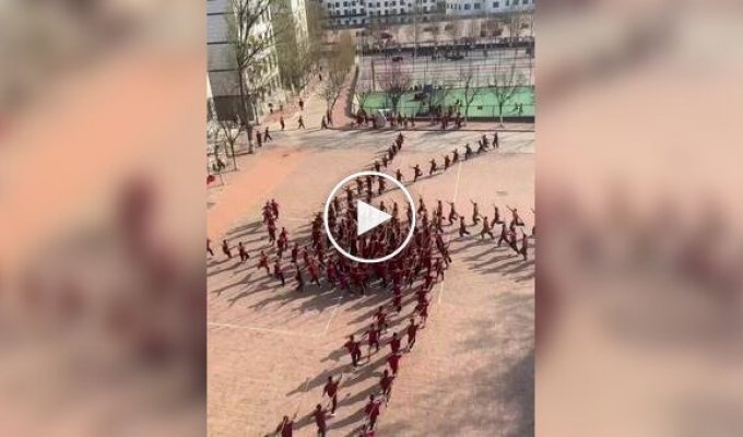 Тренировка в китайской школе боевых искусств